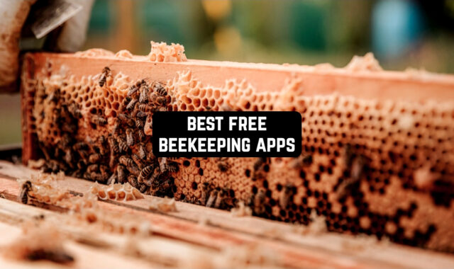 12 Free Beekeeping Apps in 2024 for Android & iOS