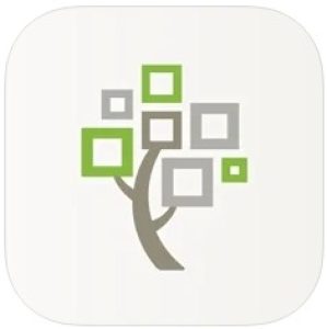 FamilySearch Tree