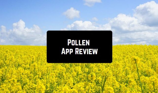 Pollen App Review