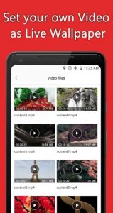 Any Video Live Wallpaper 1