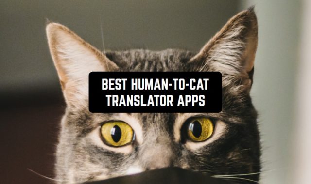 7 Best Human-To-Cat Translator Apps for Android & iOS