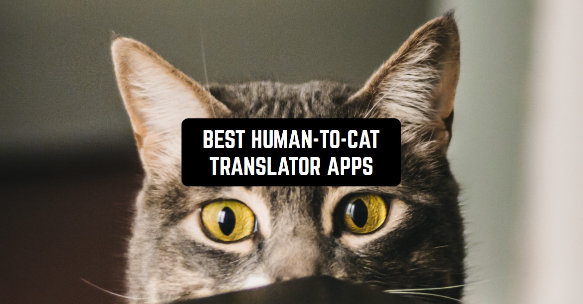 7 Best HumanToCat Translator Apps for Android & iOS Freeappsforme