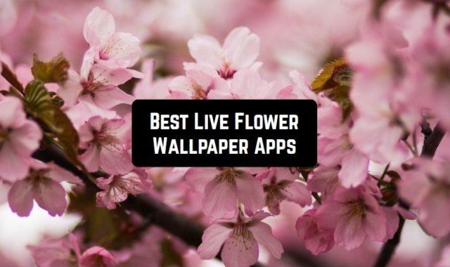 8 Best Live Flower Wallpaper Apps for Android & iOS