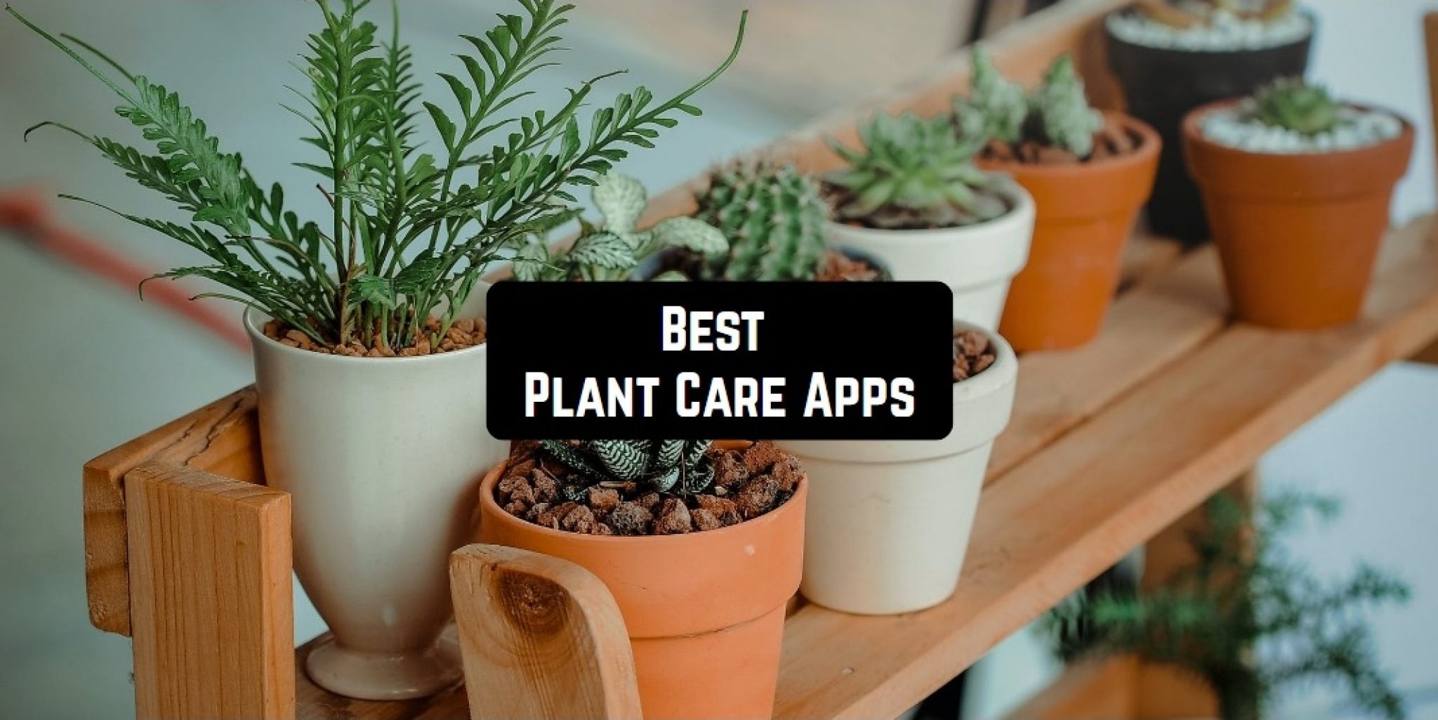 11 Best Plant Care Apps for Android & iOS Free apps for Android and iOS