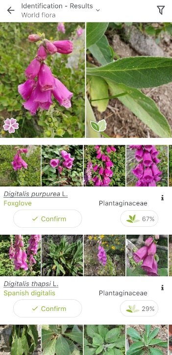 PlantNet2