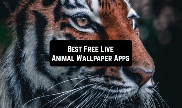 7 Free Live Animal Wallpaper Apps for Android