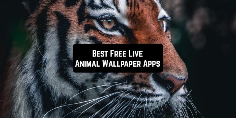 animal wallapper apps