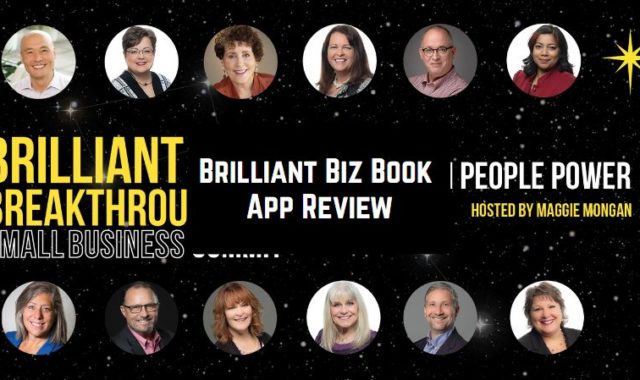 Brilliant Biz Book App Review