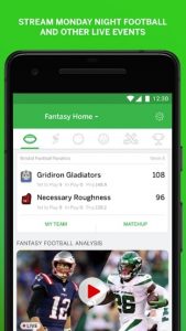 espn fantasy sports 1