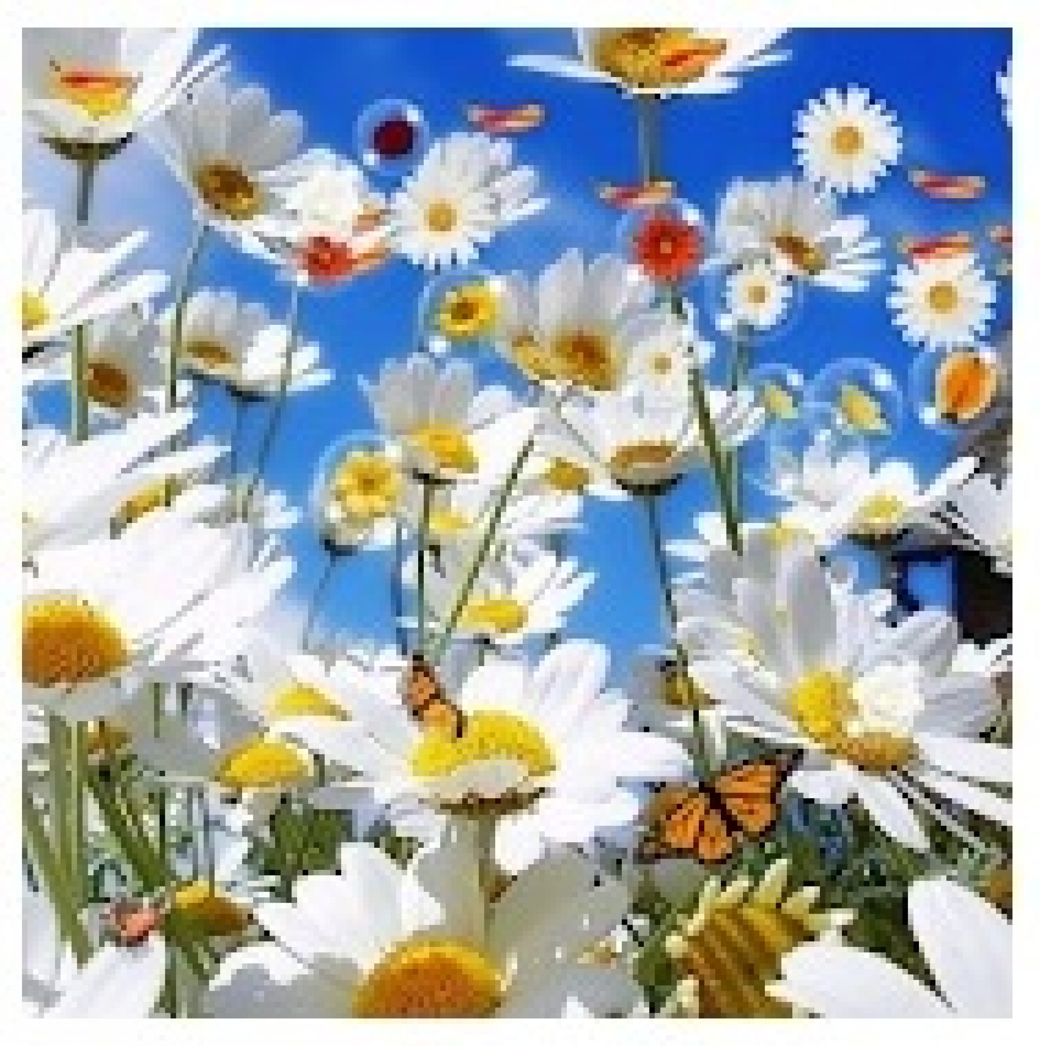 8 Best Live Flower Wallpaper Apps for Android & iOS Freeappsforme