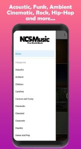 NCSMusic 1