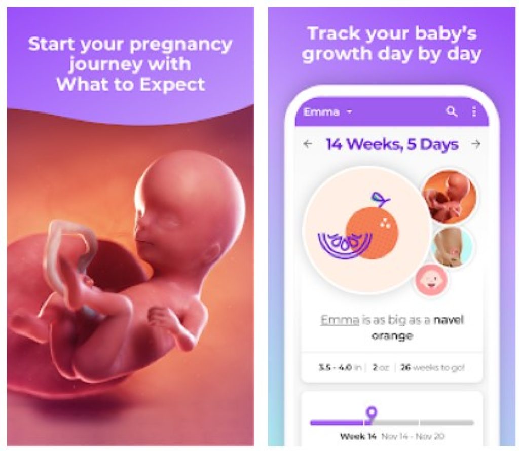 pregnancytracker1