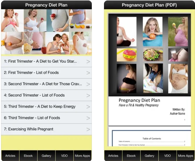 pregnancydietplan1