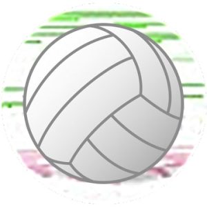 volleyball-stat!-logo