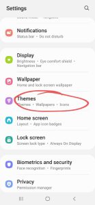 themes-icon-screen