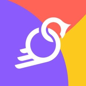 Birdchain-logo