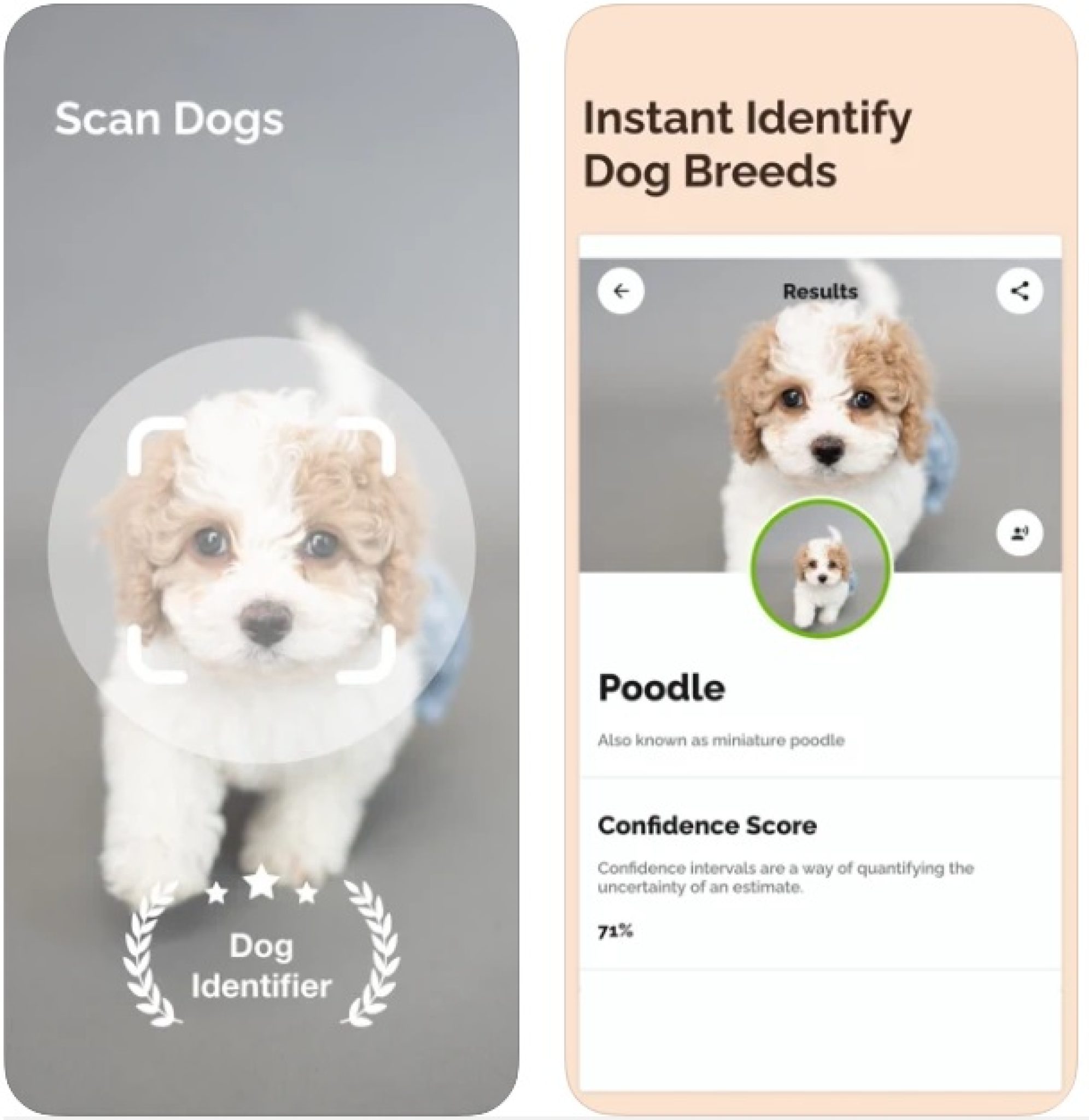 9 Best Dog Scanner Apps 2024 For Android & iOS Freeappsforme Free