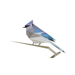 BirdNET-logo