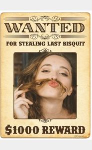 Wanted Poster Photo Editor 1