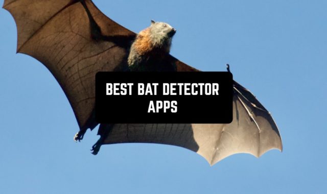7 Best Bat Detector Apps for Android & iOS
