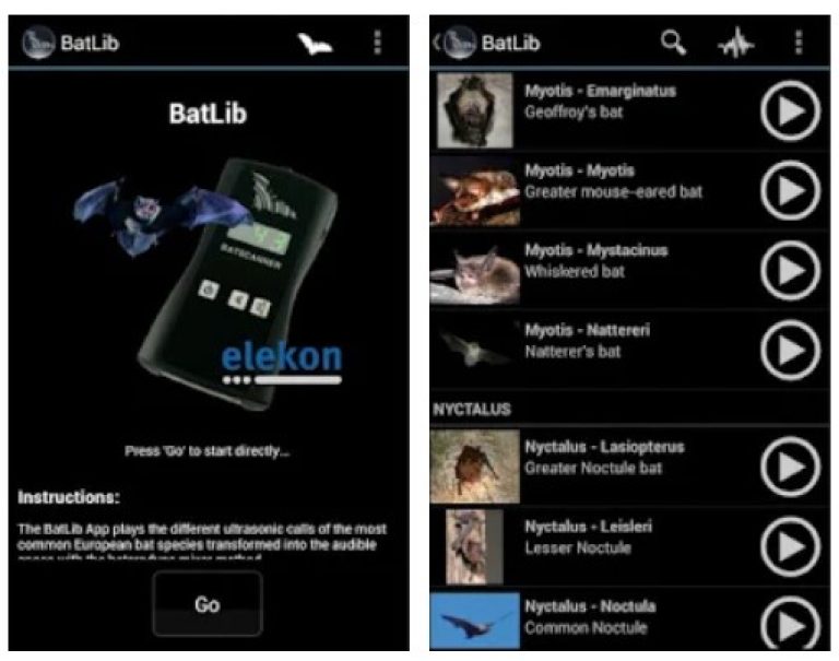 7 Best Bat Detector Apps for Android & iOS | Freeappsforme - Free apps ...