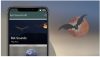 7 Best Bat Detector Apps for Android & iOS | Freeappsforme - Free apps ...