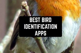 best-bird-identification-cover-1
