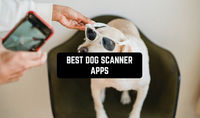 9 Best Dog Scanner Apps 2024 For Android & iOS
