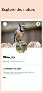 bird-identification-id-screenshot