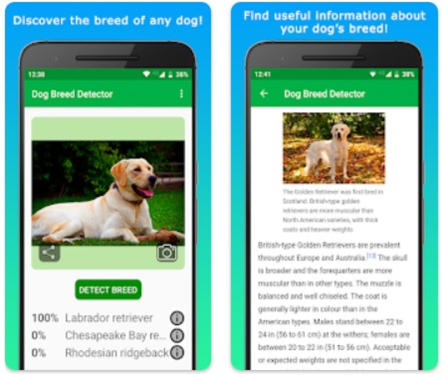 9 Best Dog Scanner Apps 2024 For Android & iOS Freeappsforme Free