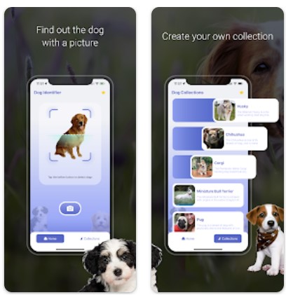 dog breed scanner online
