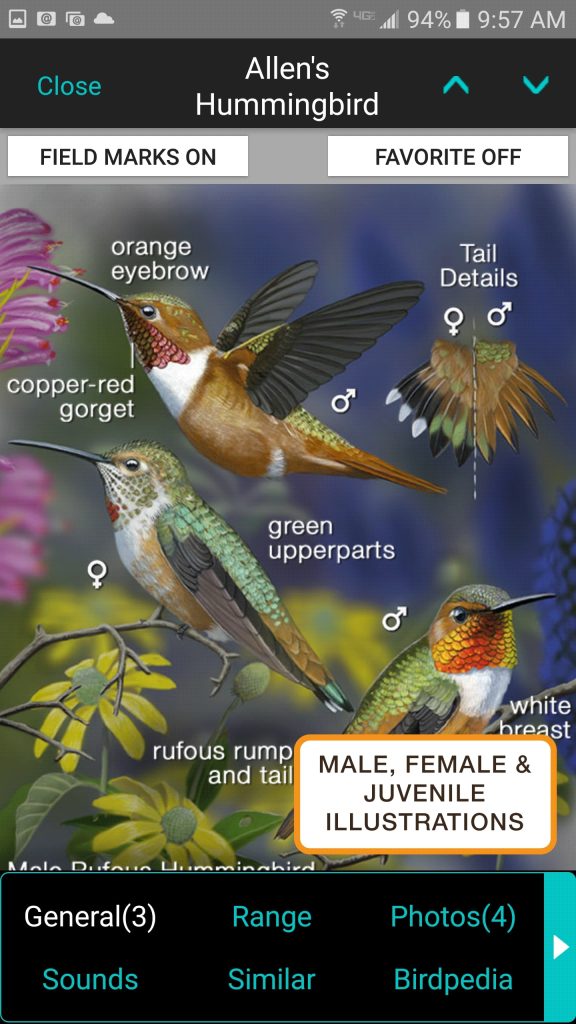 7 Best Bird Identification Apps for Android & iOS Freeappsforme