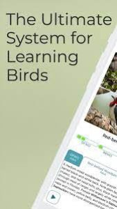Larkwire Learn Birds