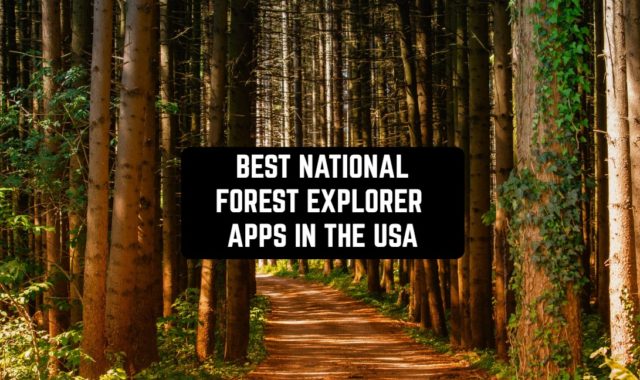 5 Best National Forest Explorer Apps in the USA