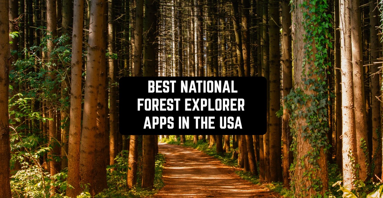 nationalforestexplorer1