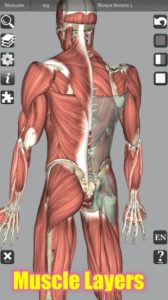 3D Bones and Organs 1