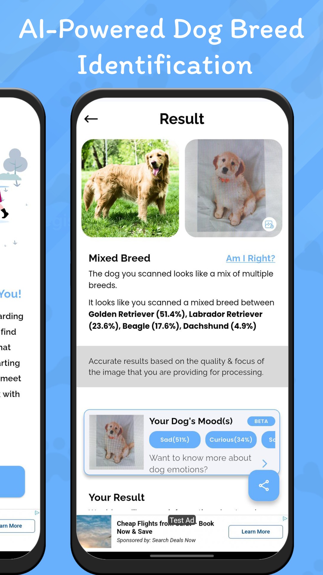 AI based Dog Breed Identifier12