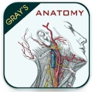 Anatomy Atlas