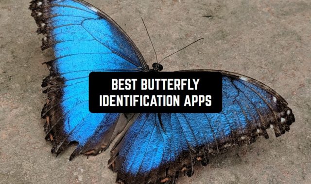 9 Best Butterfly Identification Apps for Android & iOS