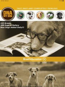 DNA-mydog-screen-3