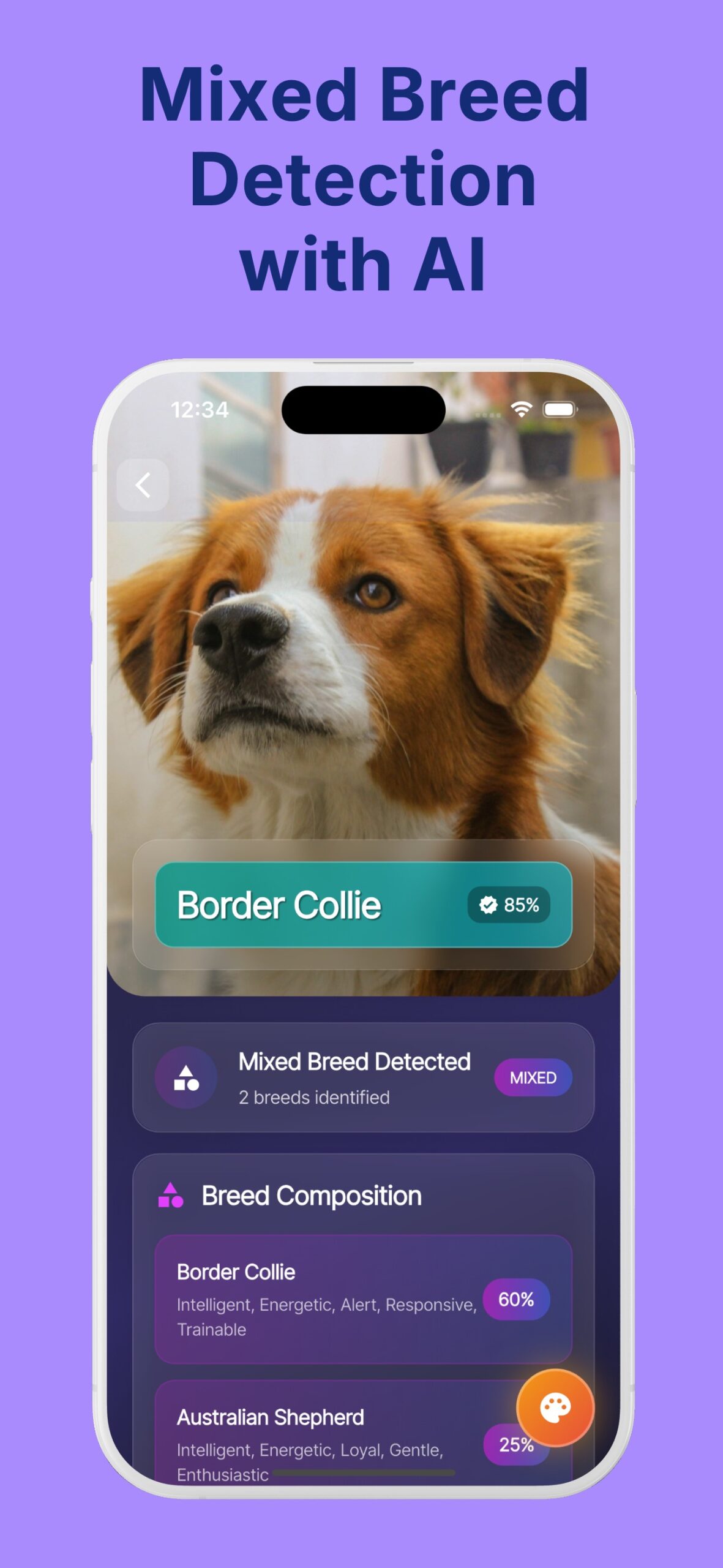 Dog Breed Identifier Dog Lens9
