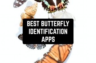best-butterfly-identification-apps-cover