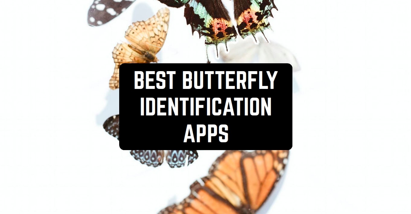 best-butterfly-identification-apps-cover