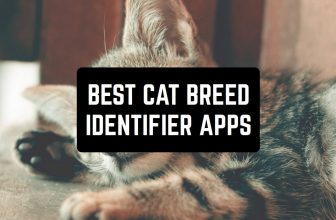 best-cat-breed-identifier-apps-cover