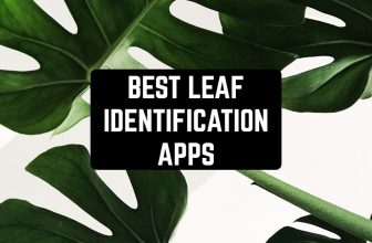best-leaf-identification-apps-cover