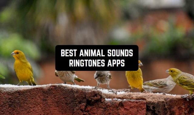 7 Best Animal Sounds Ringtones Apps for Android & iPhone