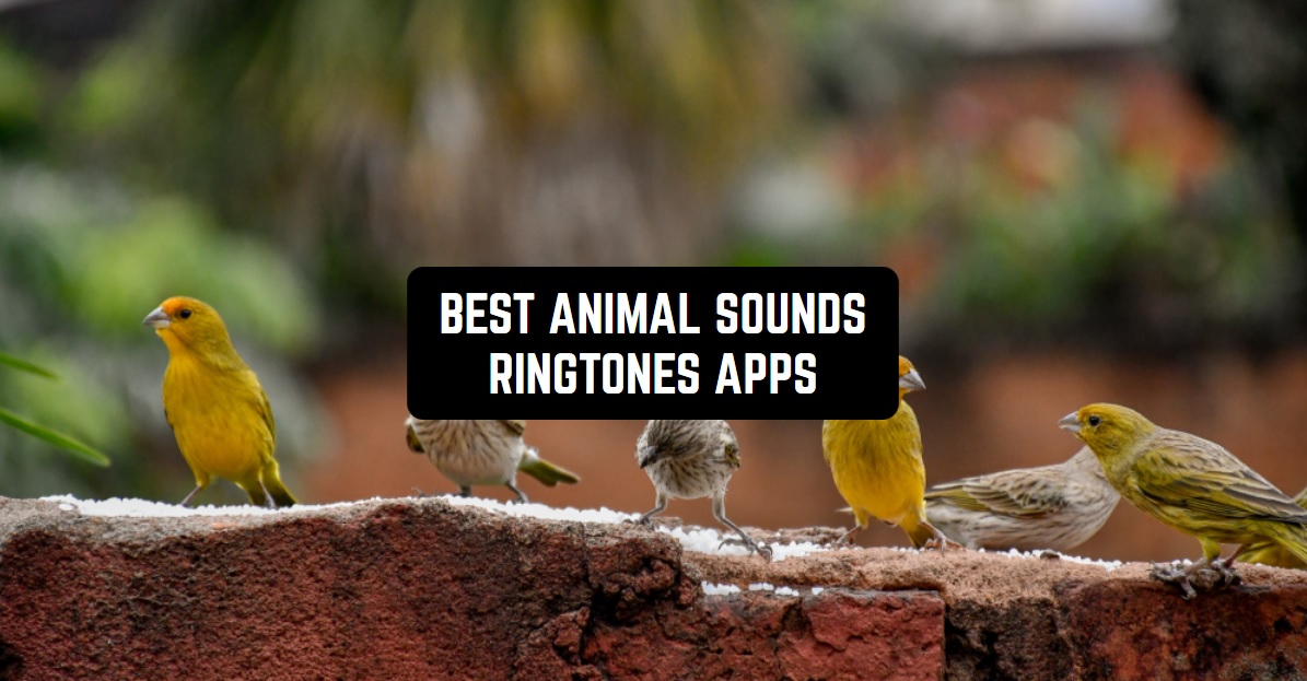 7 Best Animal Sounds Ringtones Apps for Android & iPhone | Free apps for  Android and iOS