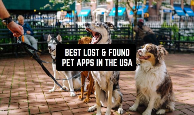 7 Best Lost & Found Pet Apps In The USA