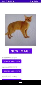 cat-breed-identification-screen-1