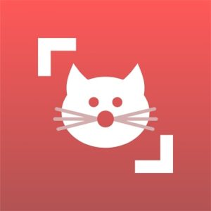 cat-scanner-logo